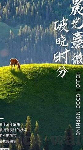 麻豆精品传媒av-探讨企业文化的魅力——以麻豆精品传媒av的价值观及品牌建设为例